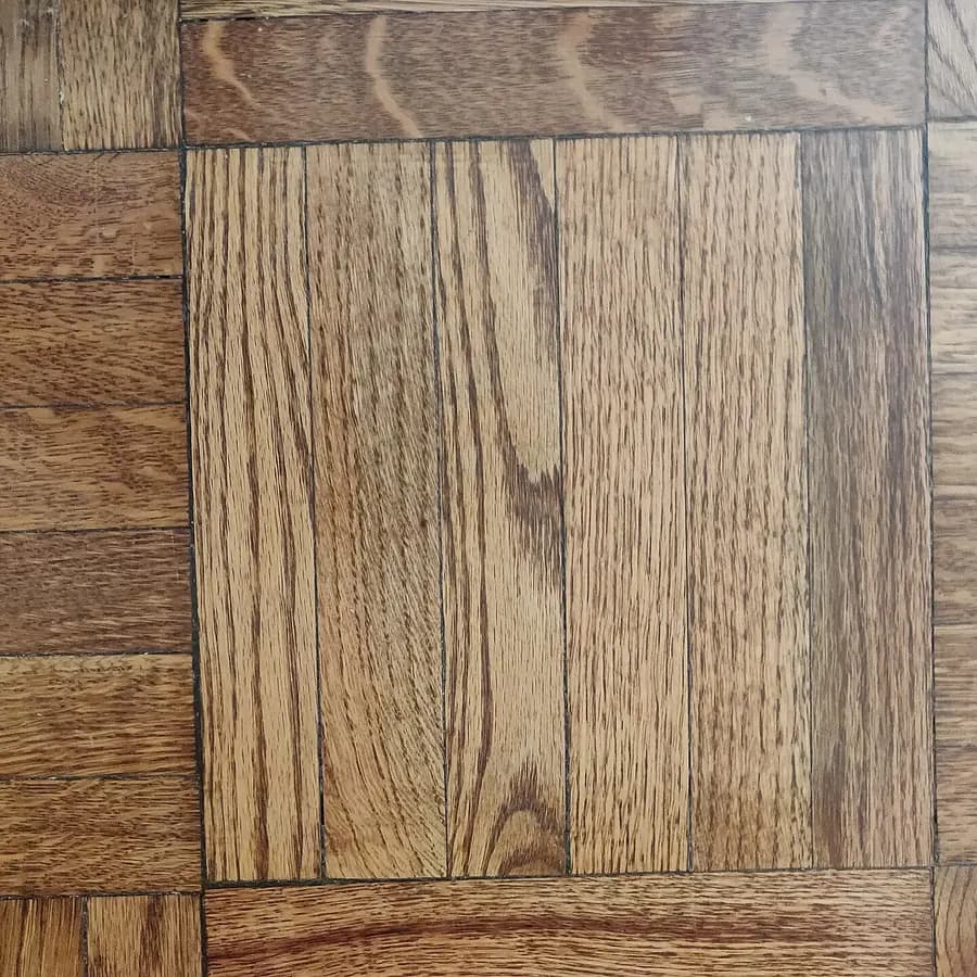 European oak
